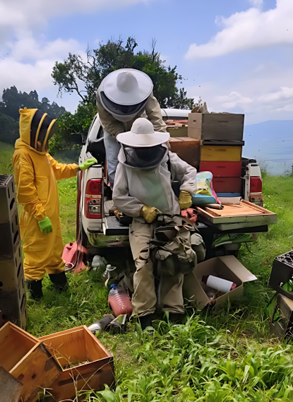 Miel con jengibre - Apiarios Castañeda