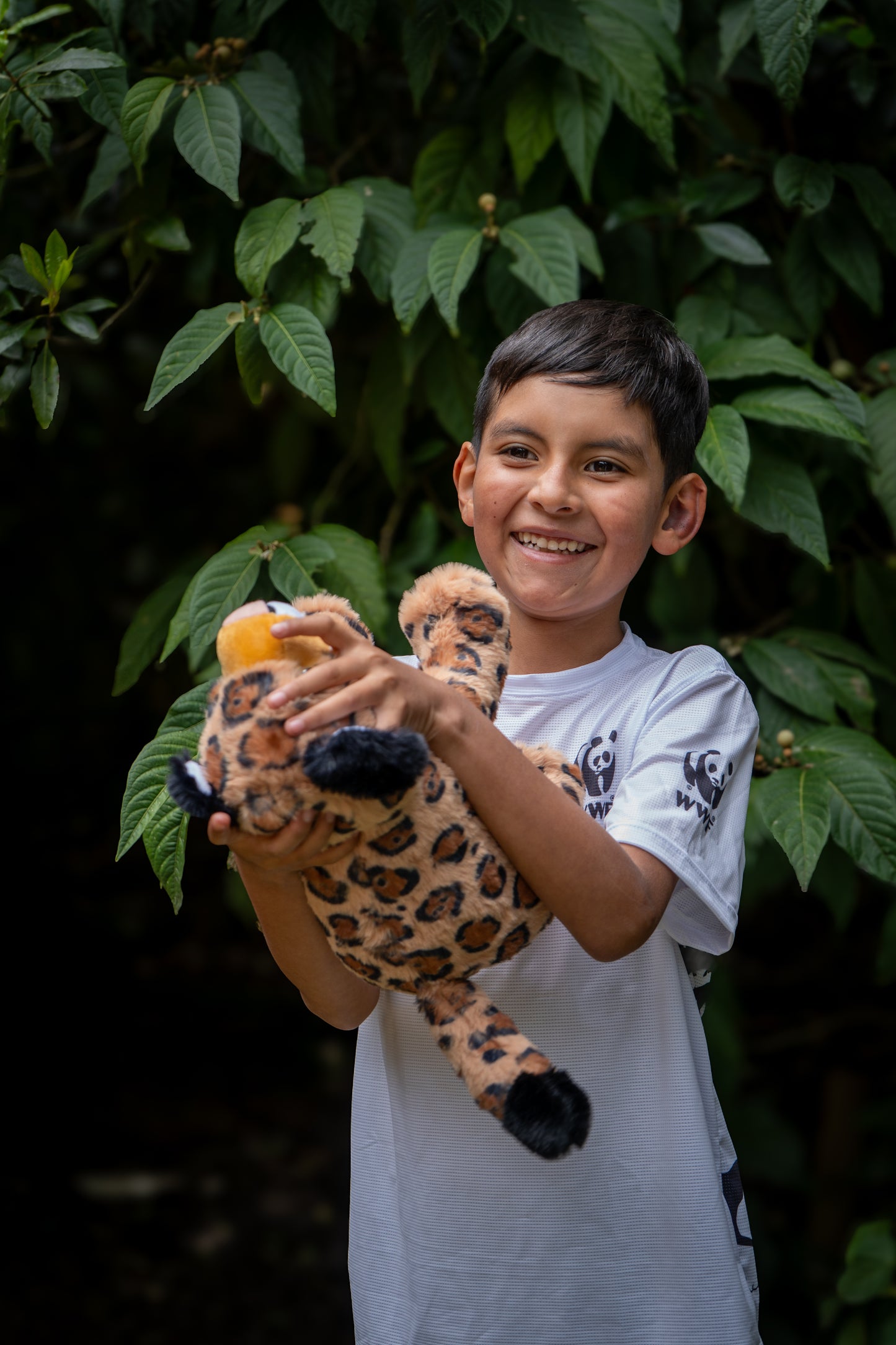 Peluches WWF Colombia