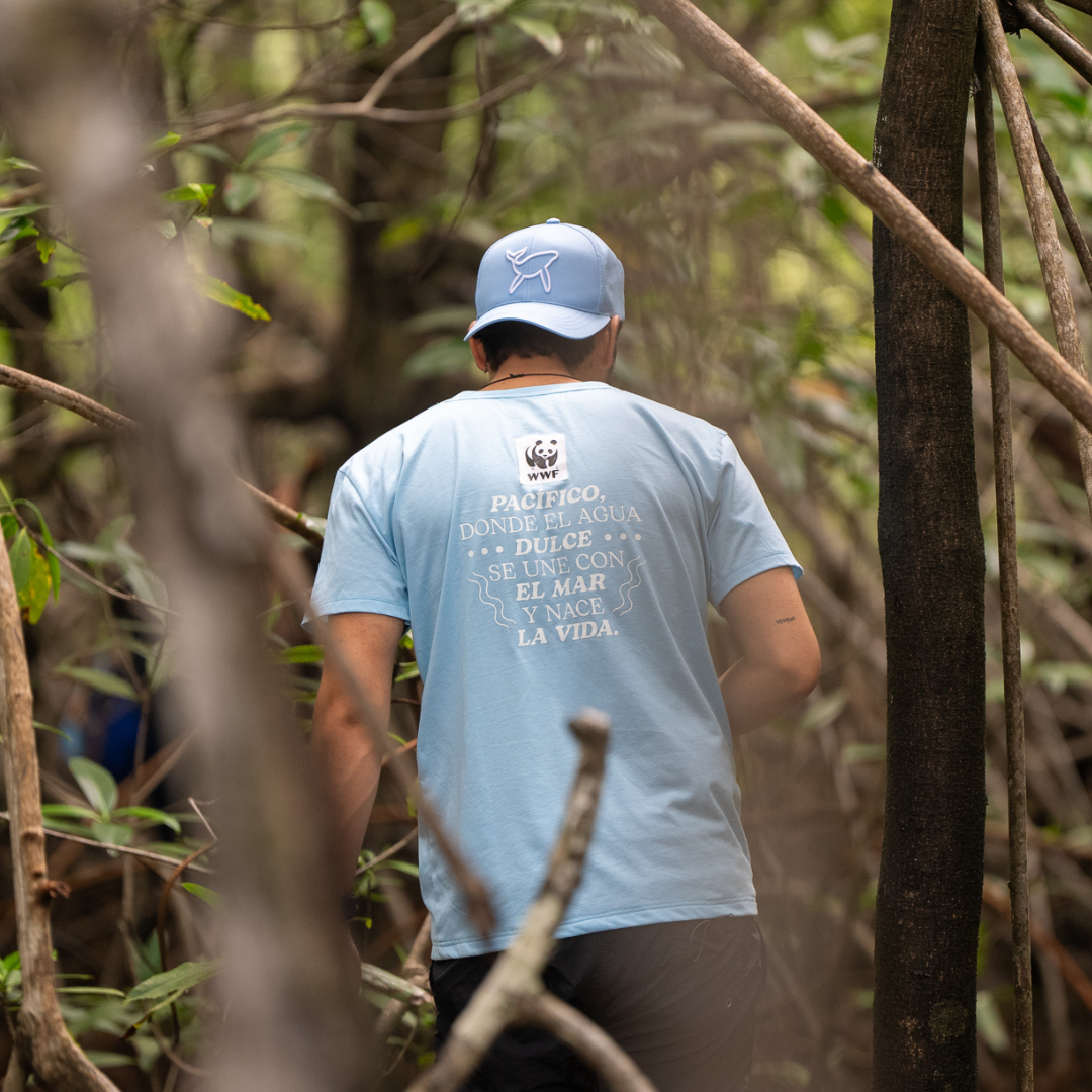 Camiseta Pacífico
