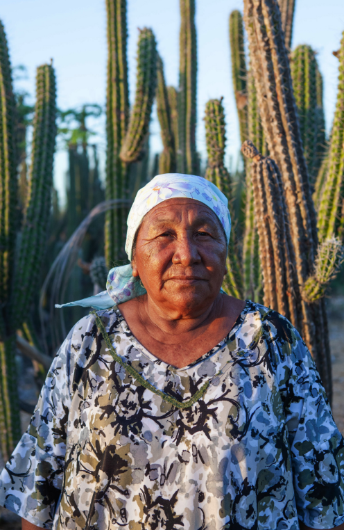 Mochila Wayúu - Yosüu